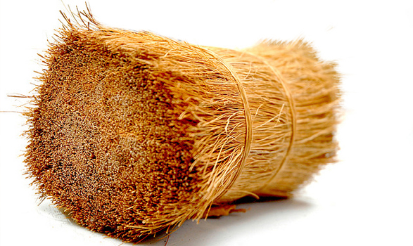 Bristle Fiber